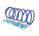 Kontrasztrugó - Polini Evolution (Minarelli)
